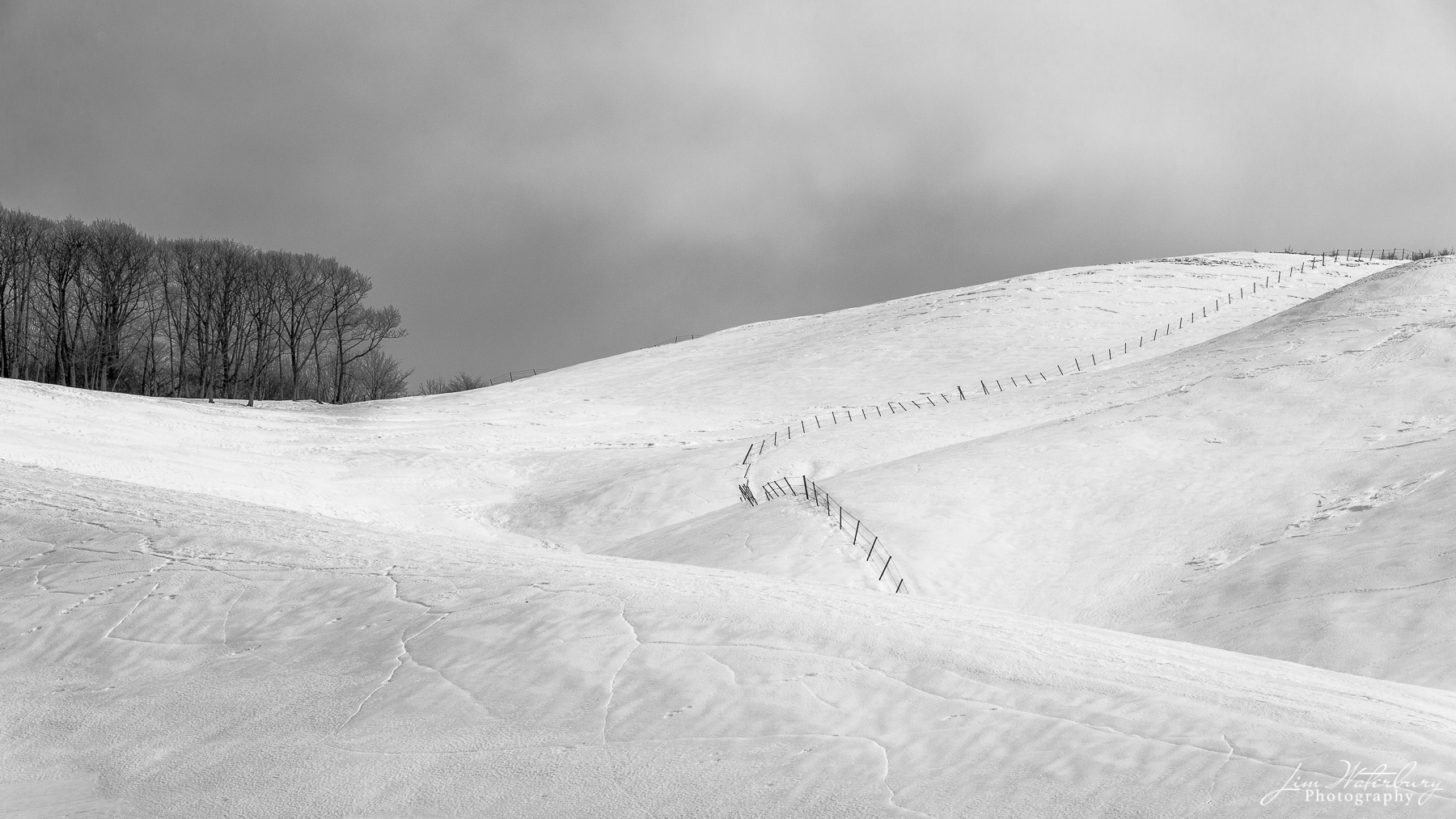 Black & white image of a stand of trees on top of a snow-covered hill, with a fence dividing it, and a moody sky above.  Hokkaido...