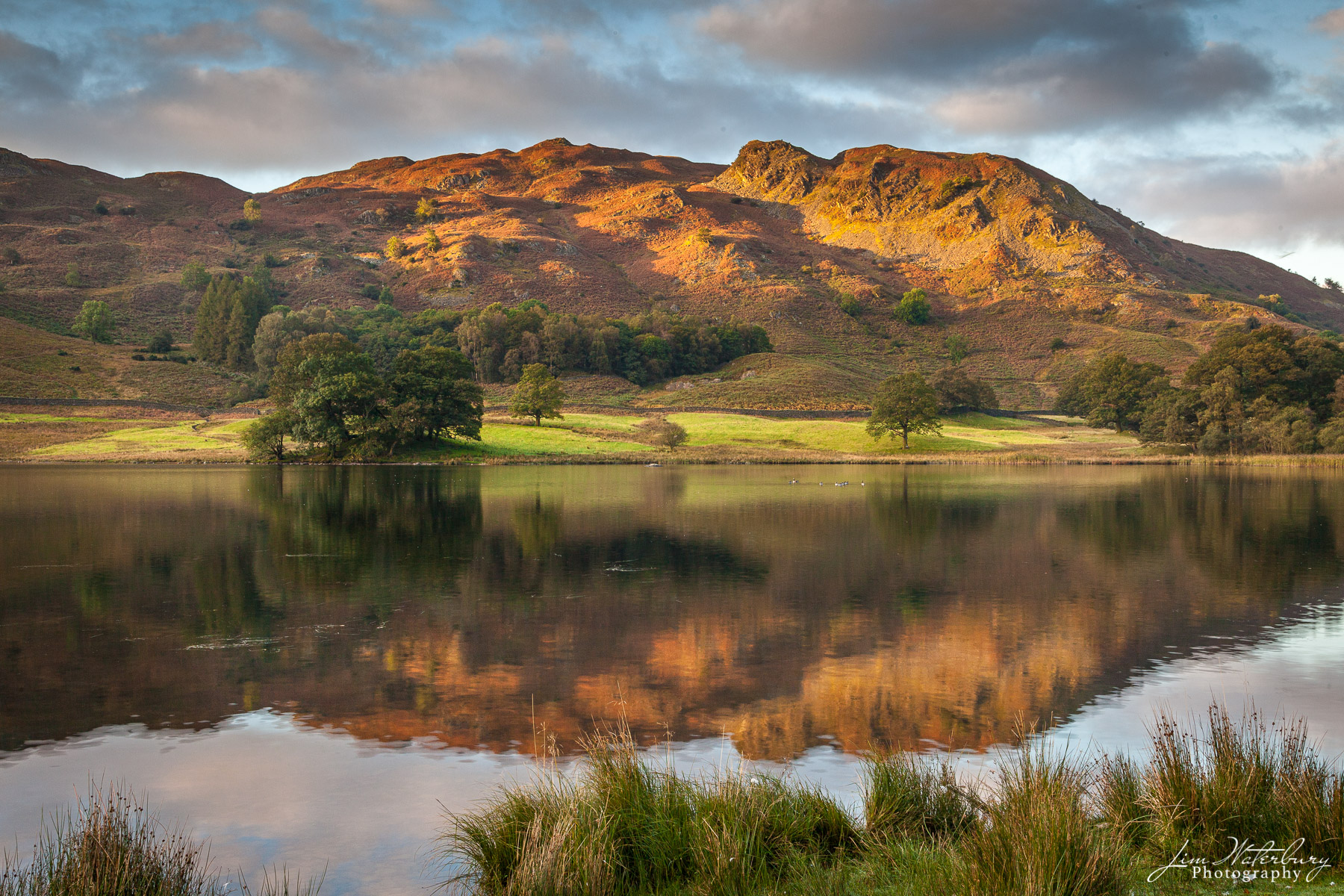 Sunrise over Rydal Water, off A591 between Rydal and Grasmere, Lake District, Cumbria, UK