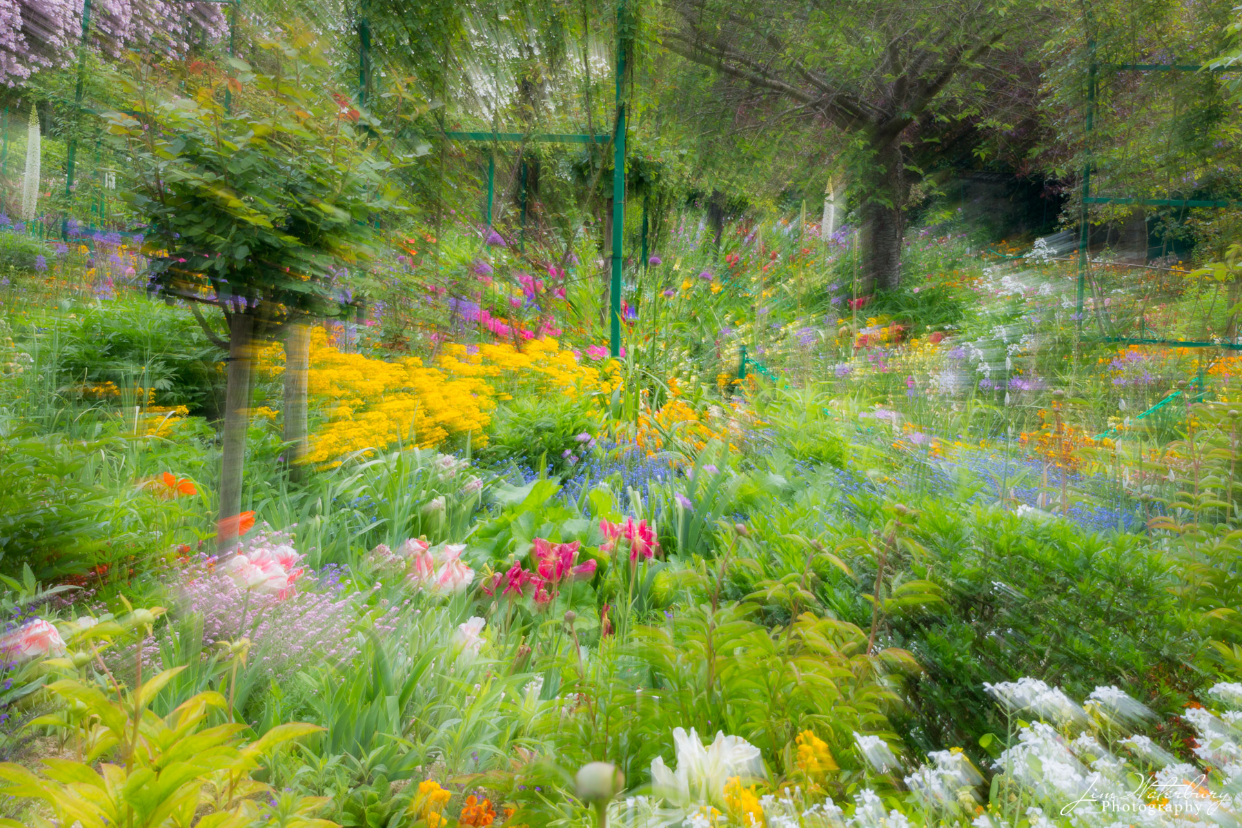 Monet's Gardens at Giverny