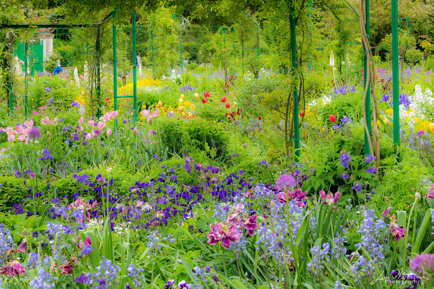 Monet's Gardens at Giverny