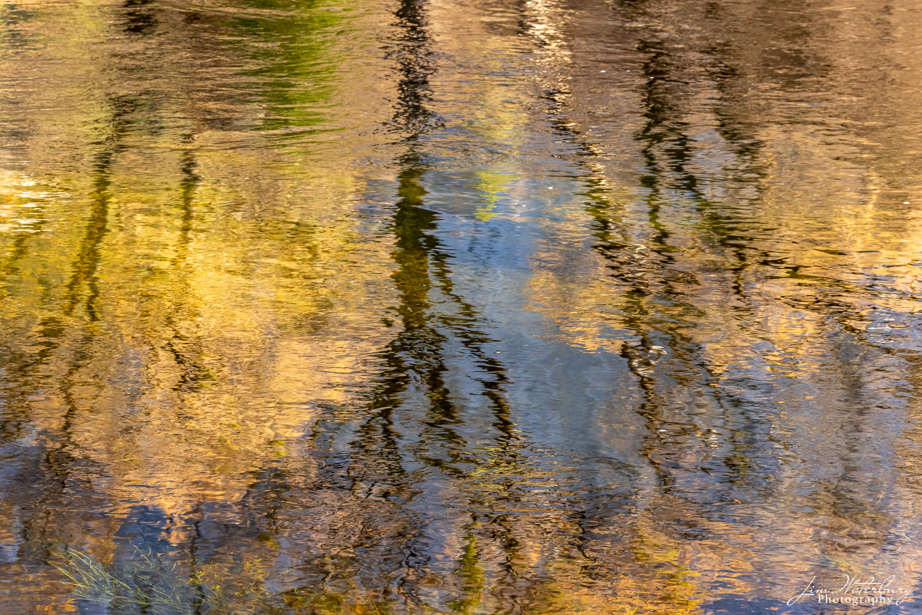 Reflection of cliffs and trees in the Merced River