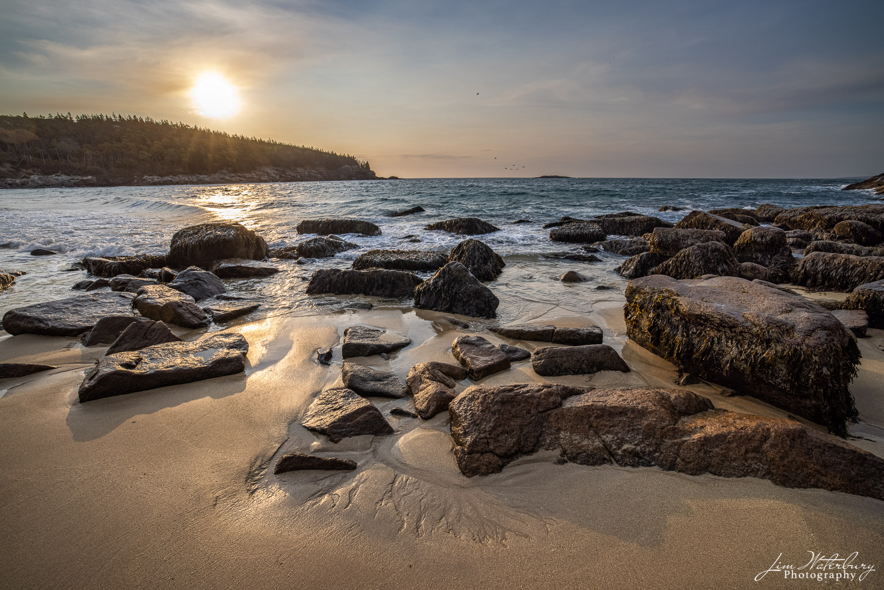 Sunrise, Sand Beach The sun rises on a quiet morning at Sand Beach in Acadia National Park, highlighting delicate fluvial patterns in the sand.