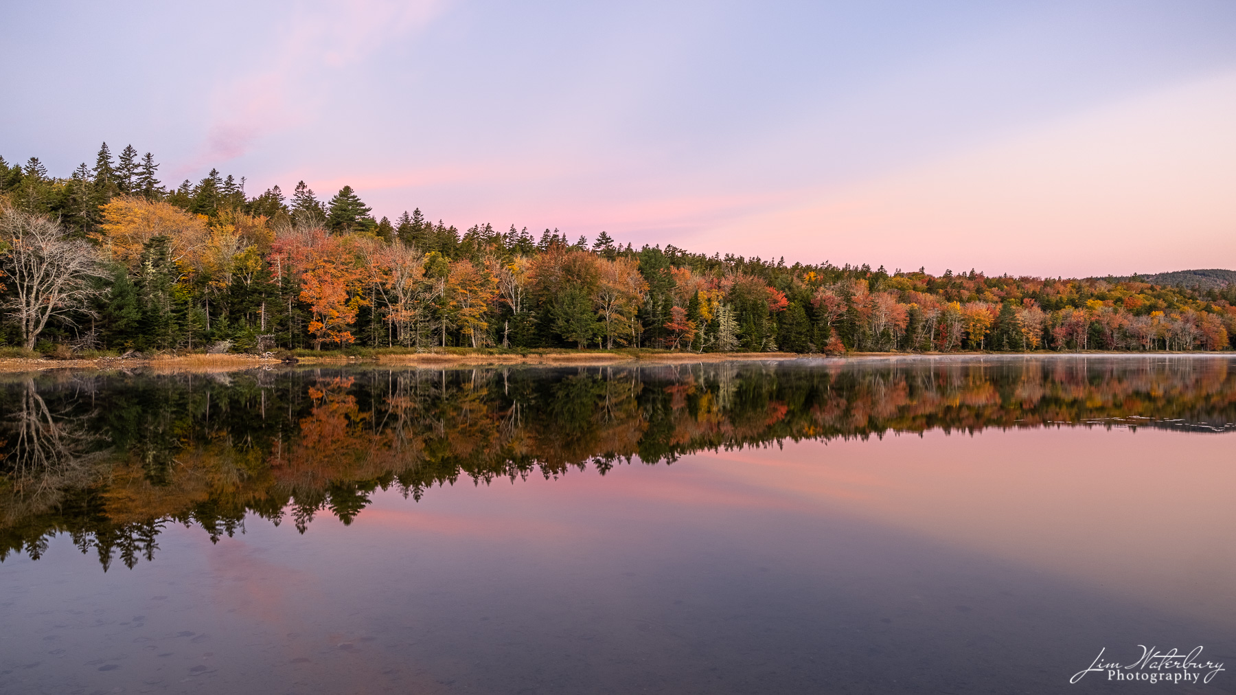 Harmony A calm morning, just before sunrise, reveals delicate pastel colors in the sky and a wonderful reflection of the trees with their...