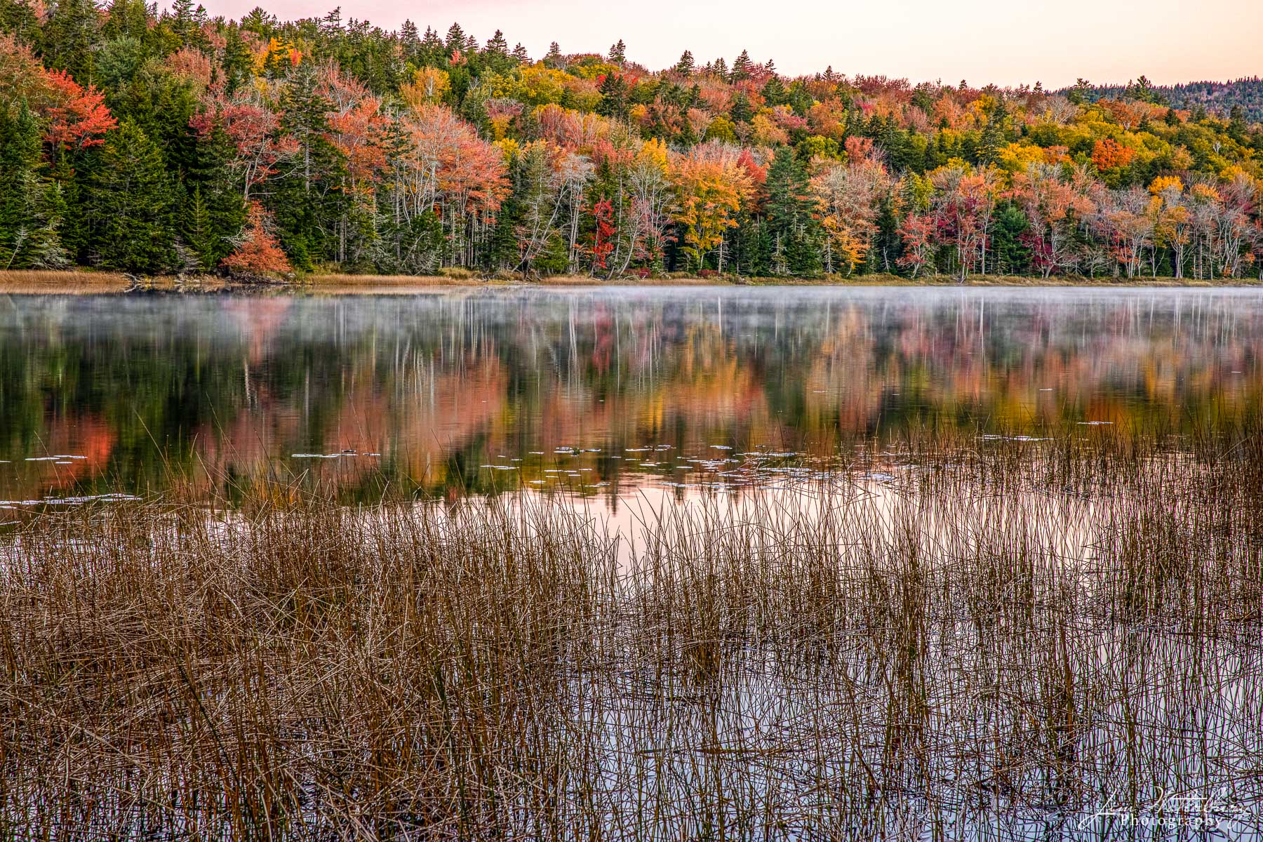 A still pre-dawn scene on Little Long Pond showcases the brilliant colors of fall, and their reflection in the dark waters of...