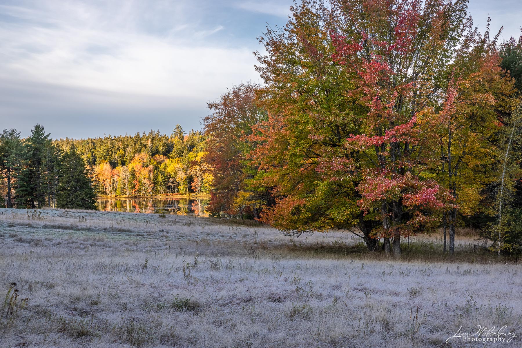 Crispy Fall A frost-covered meadow leads down to the waters of Little Long Pond, and the fall foliage behind.
