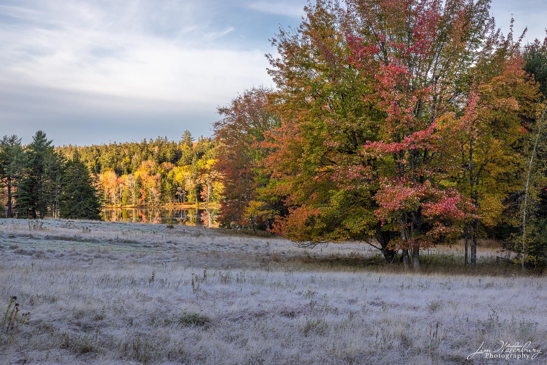 A frost-covered meadow leads down to the waters of Little Long Pond, and the fall foliage behind.