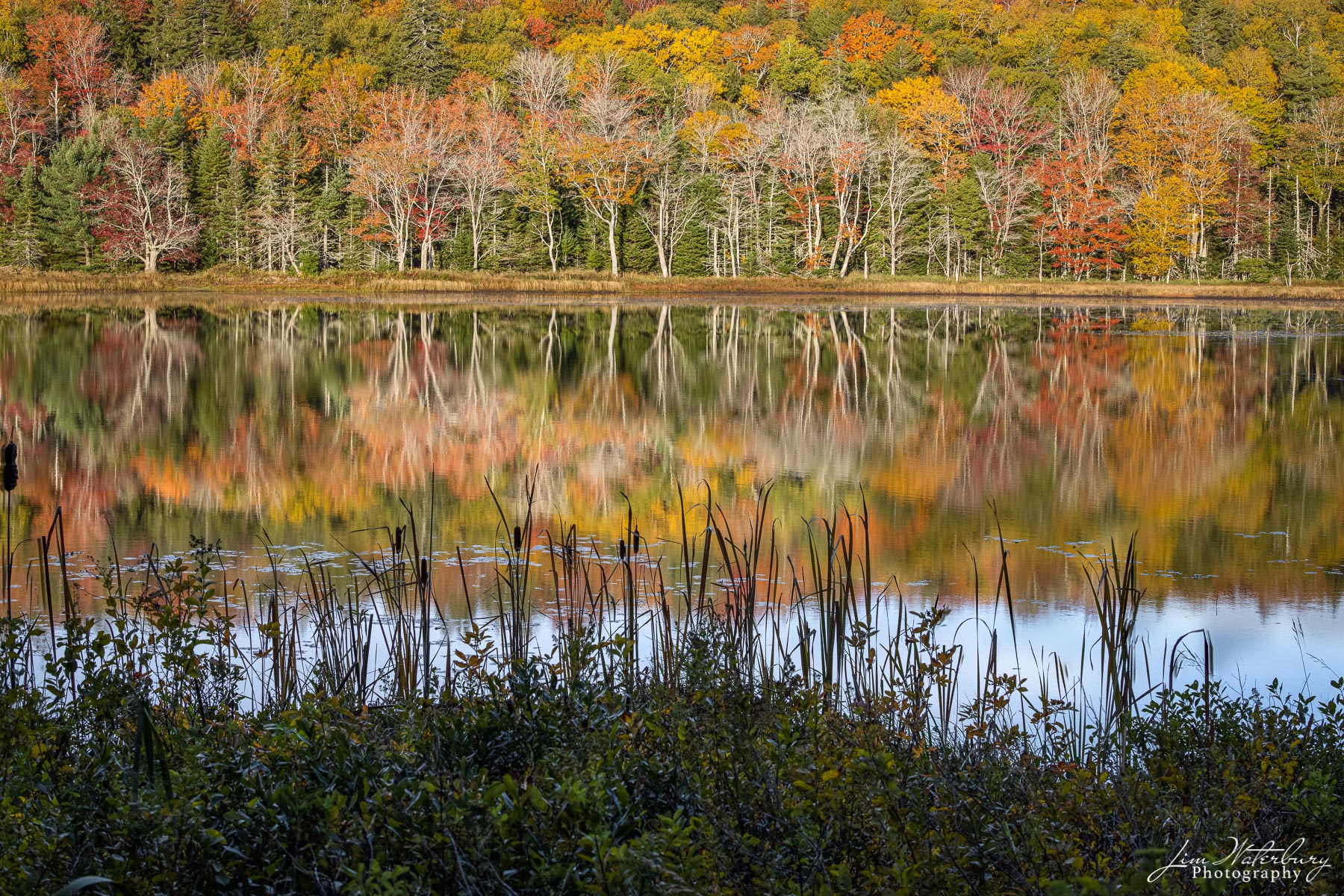 Little Long Pond, Seal Harbor (Acadia) Maine