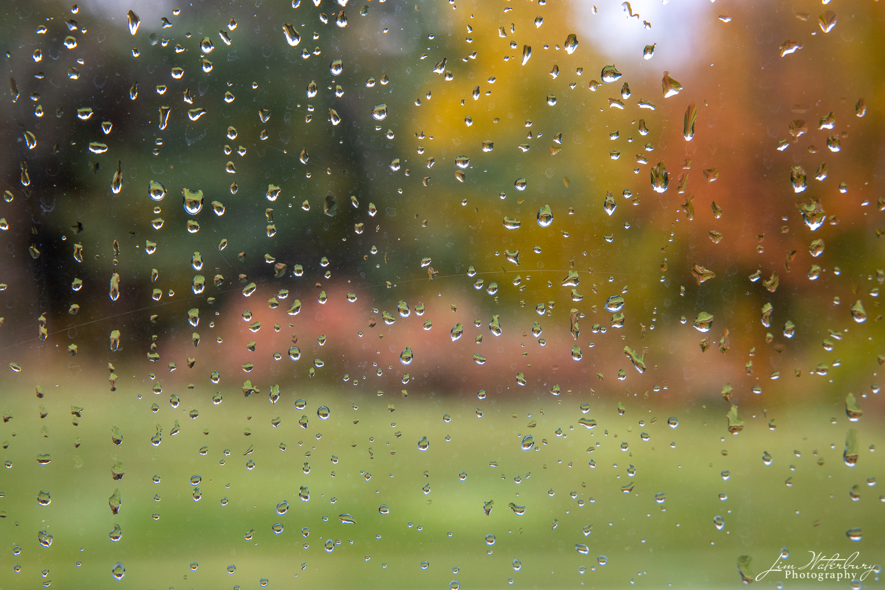 Fall Colors in the Rain Abstract image of trees with their fall colors, photographed through a window covered with rain drops.