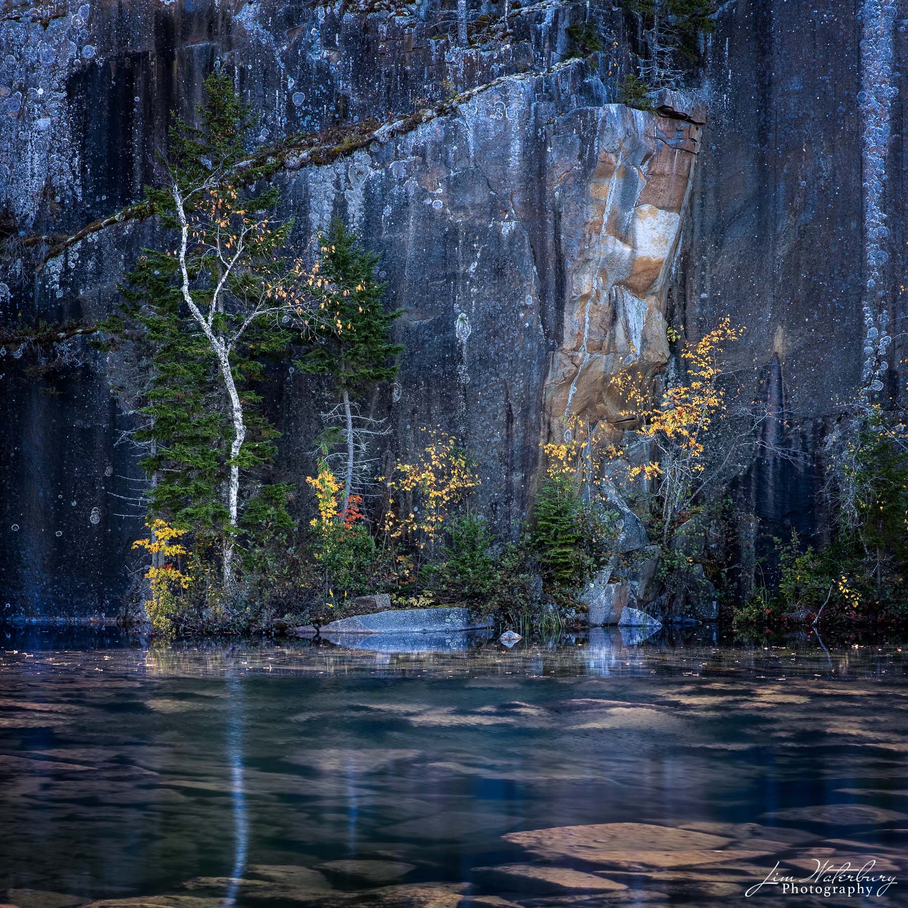 Yellow Speckles The last of the yellow leaves of fall speckle the rock walls of Long Cove Quarry, Maine