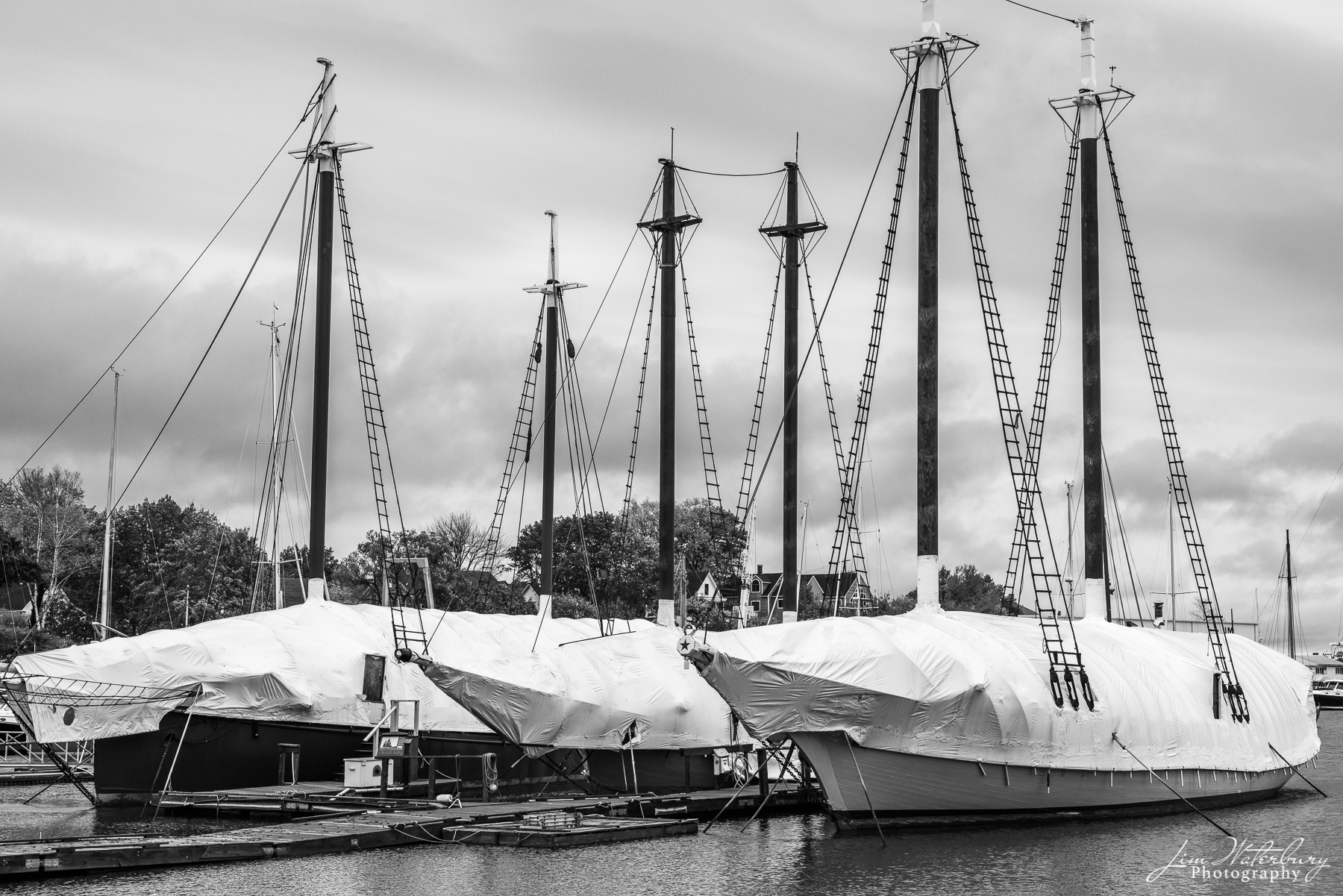 Black & white image of masts of boats, shrink-wrapped for winter, in the harbor at Camden, Maine
