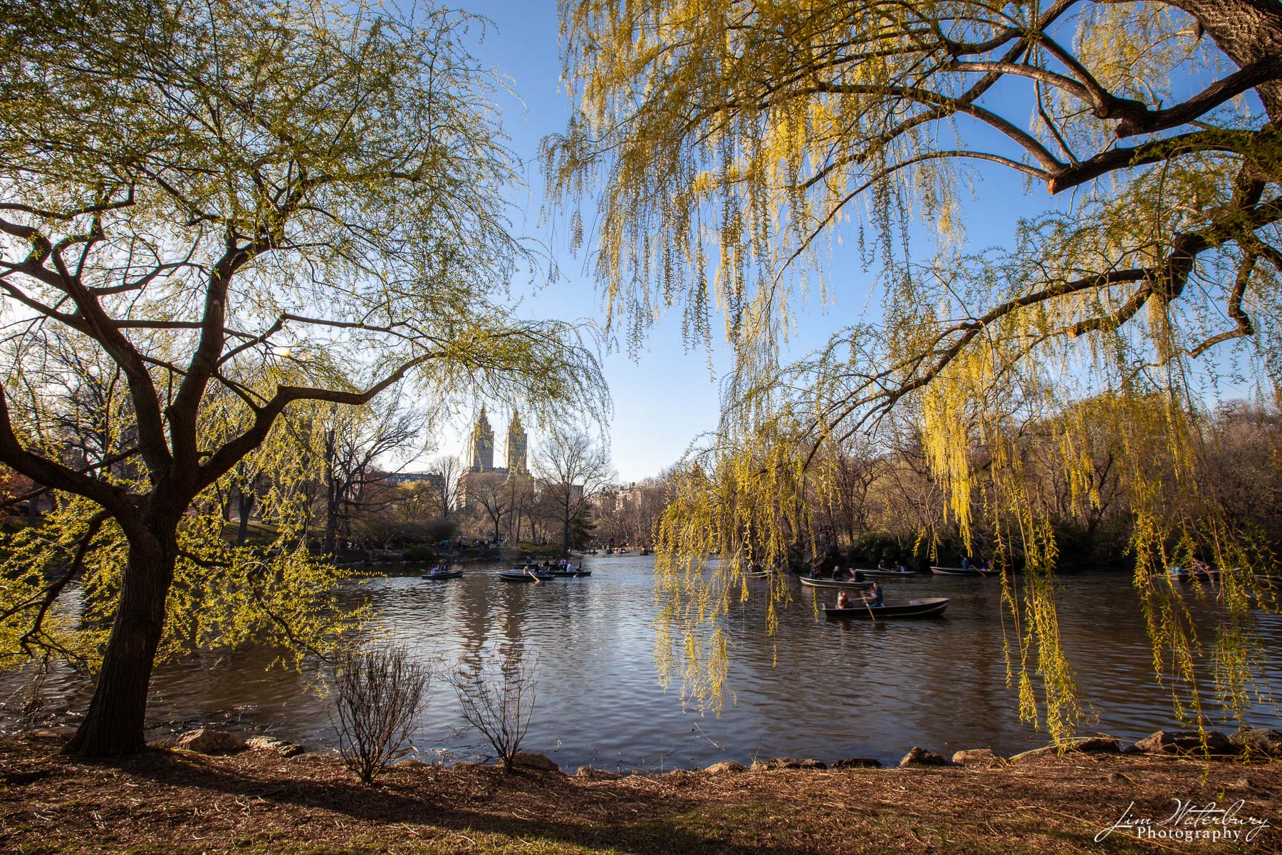 Lazy Afternoon Rowboats float on the lake near the Loeb Boathouse in Central Park, New York, in spring, with the twin towers of The Eldorado...