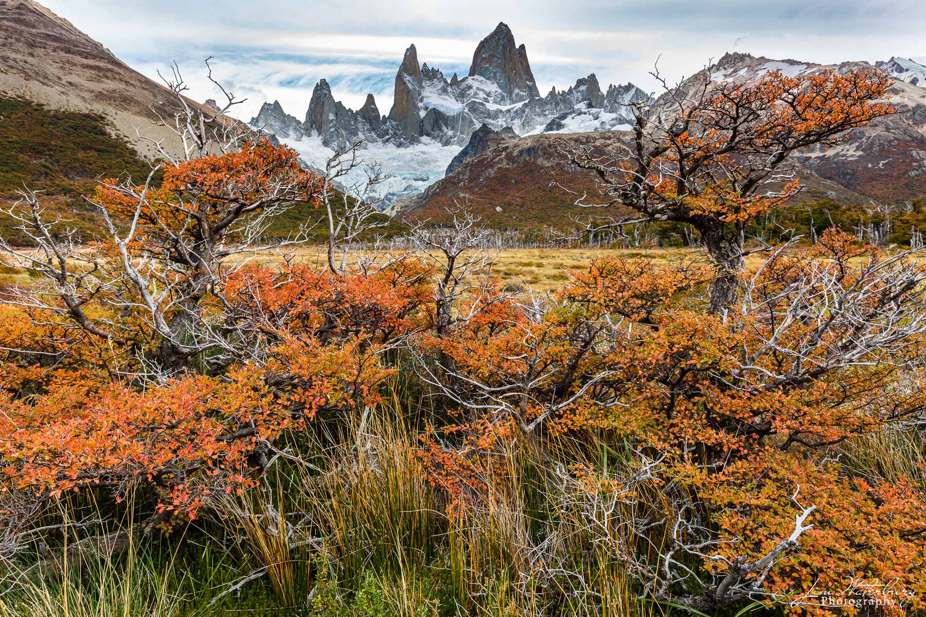 Orange Delight Orange fall colors show off the vegetation in the valley below Mt. Fitz Roy. Parque Nacional los Glaciares, Argentina (Patagonia...