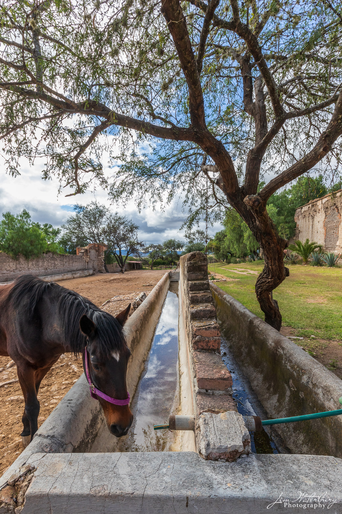 photo Mexico, North America, San Miguel de Allende, photo