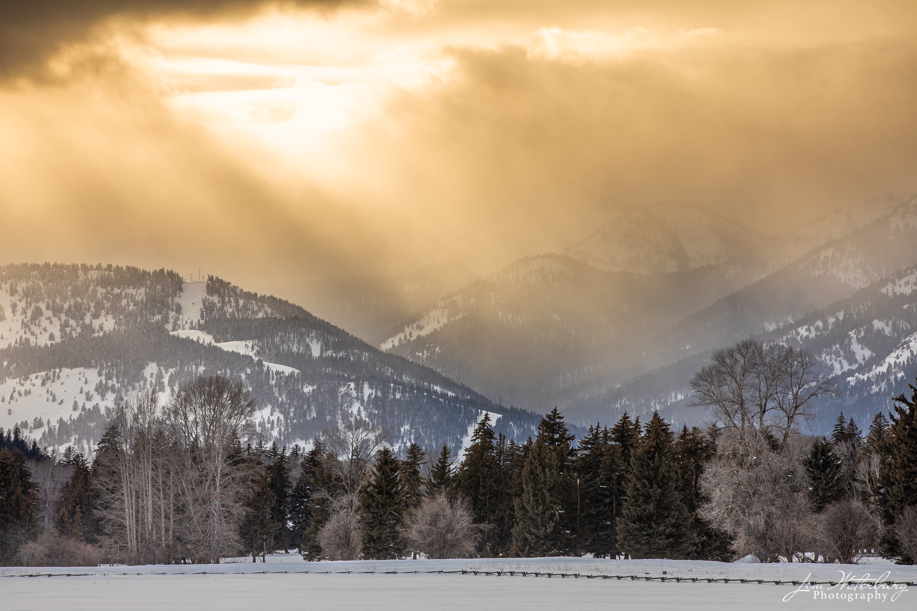 The late afternoon sun filters through building snow clouds in a valley off Spring Gulch Road, Jackson, WY.
