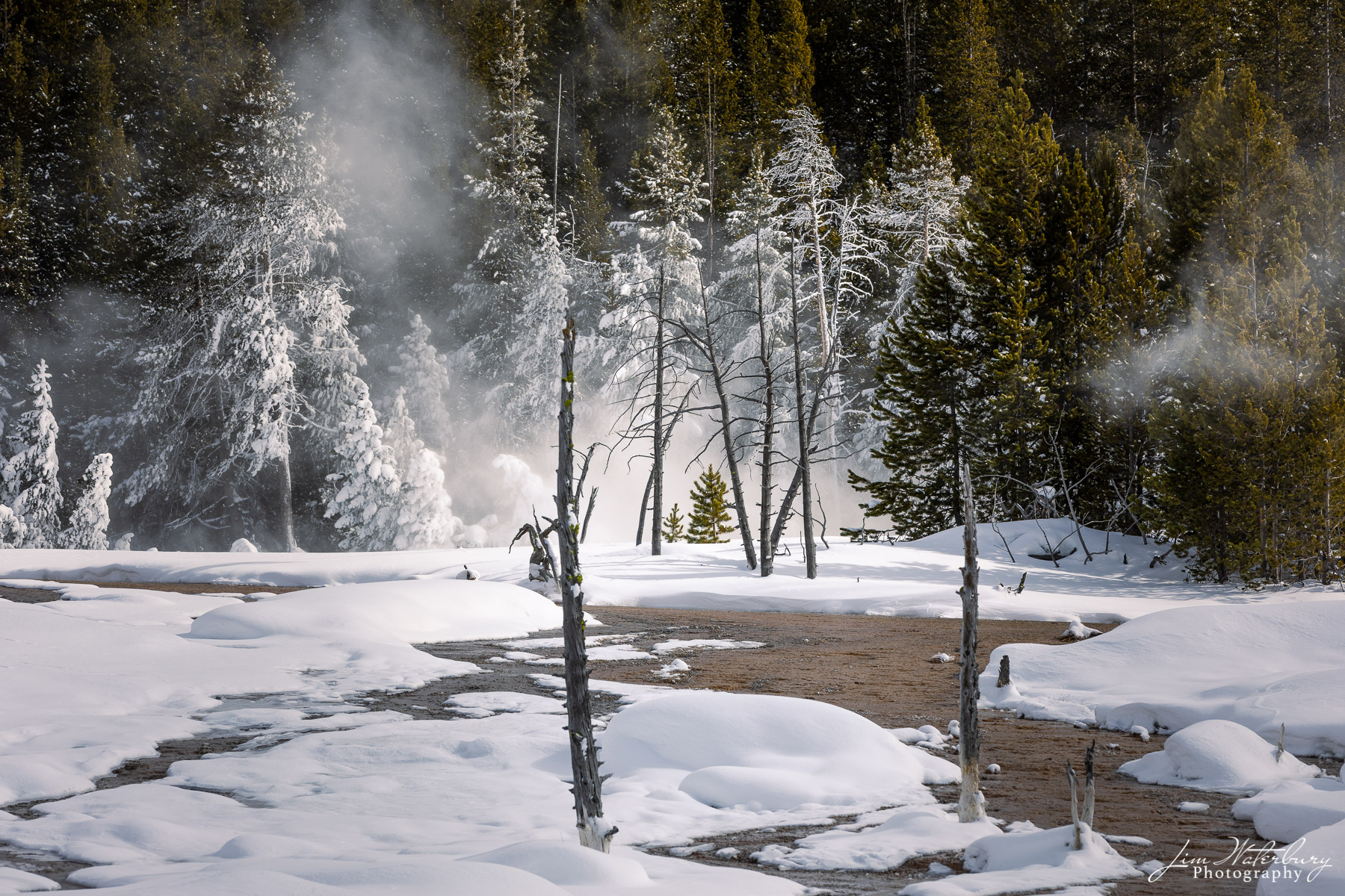 NATIONAL PARKS, Yellowstone