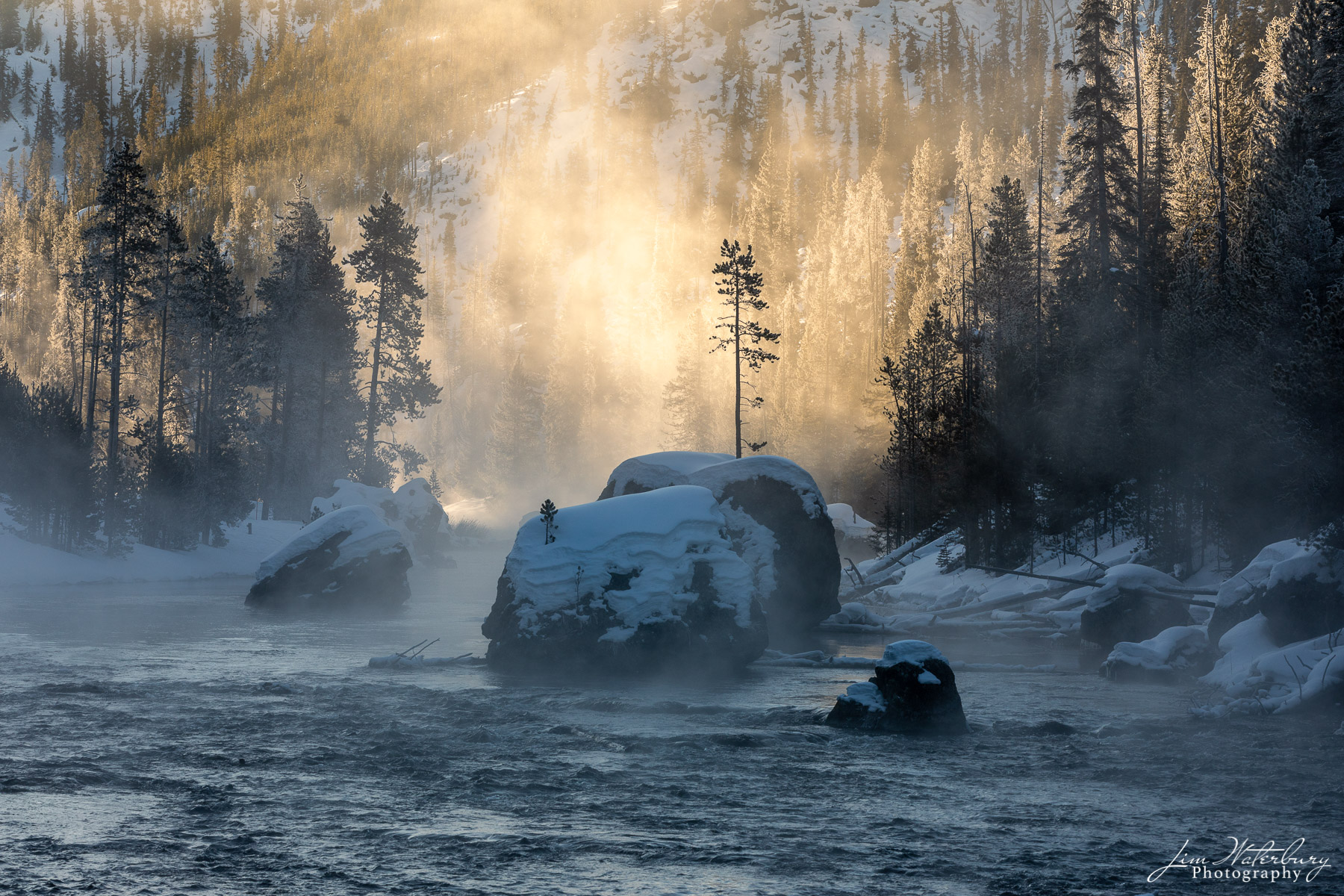 A single tree grows from a rock in the middle of a river in Yellowstone, backlit by mist illuminated by the rising sun.