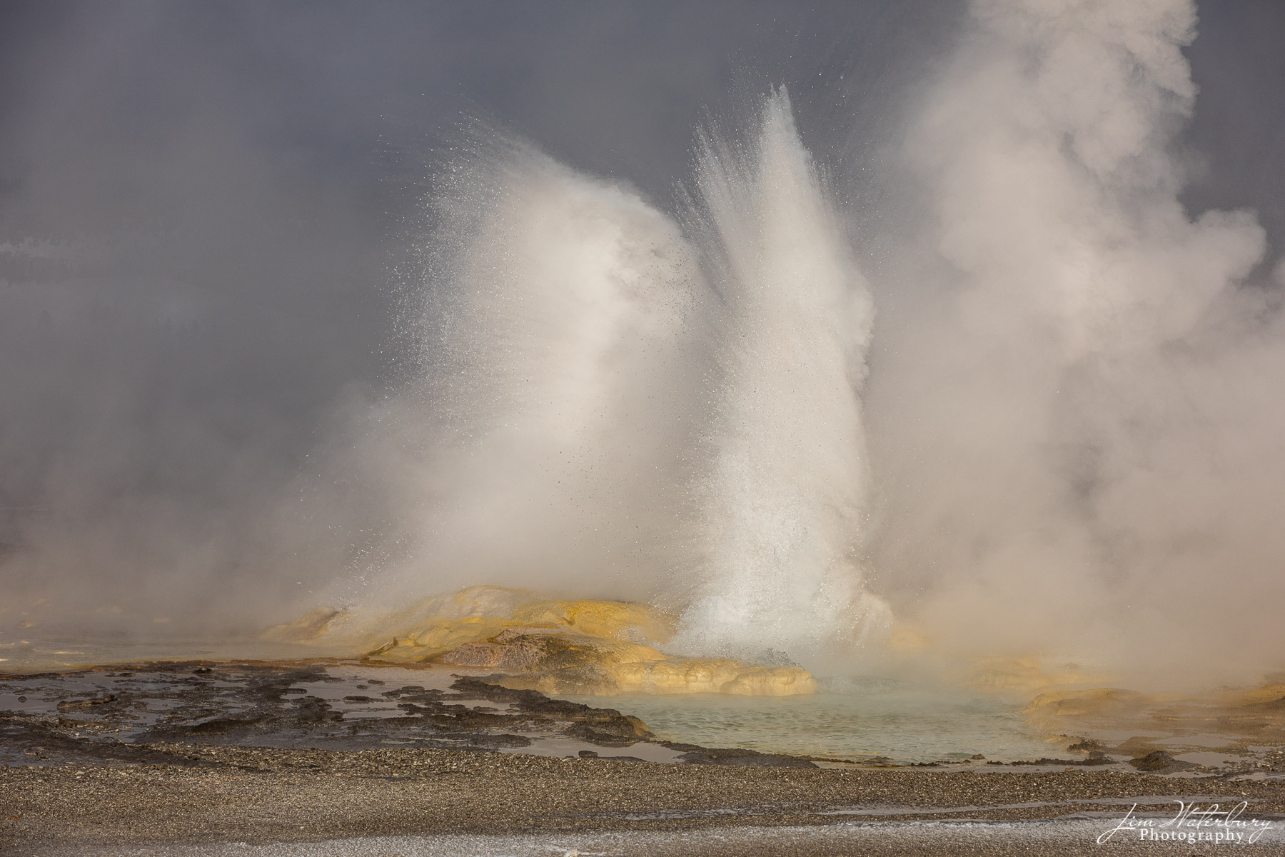 Clepsydra Eruption of the Clepsydra geyser in the Lower Geyer Basin of Yellowstone.