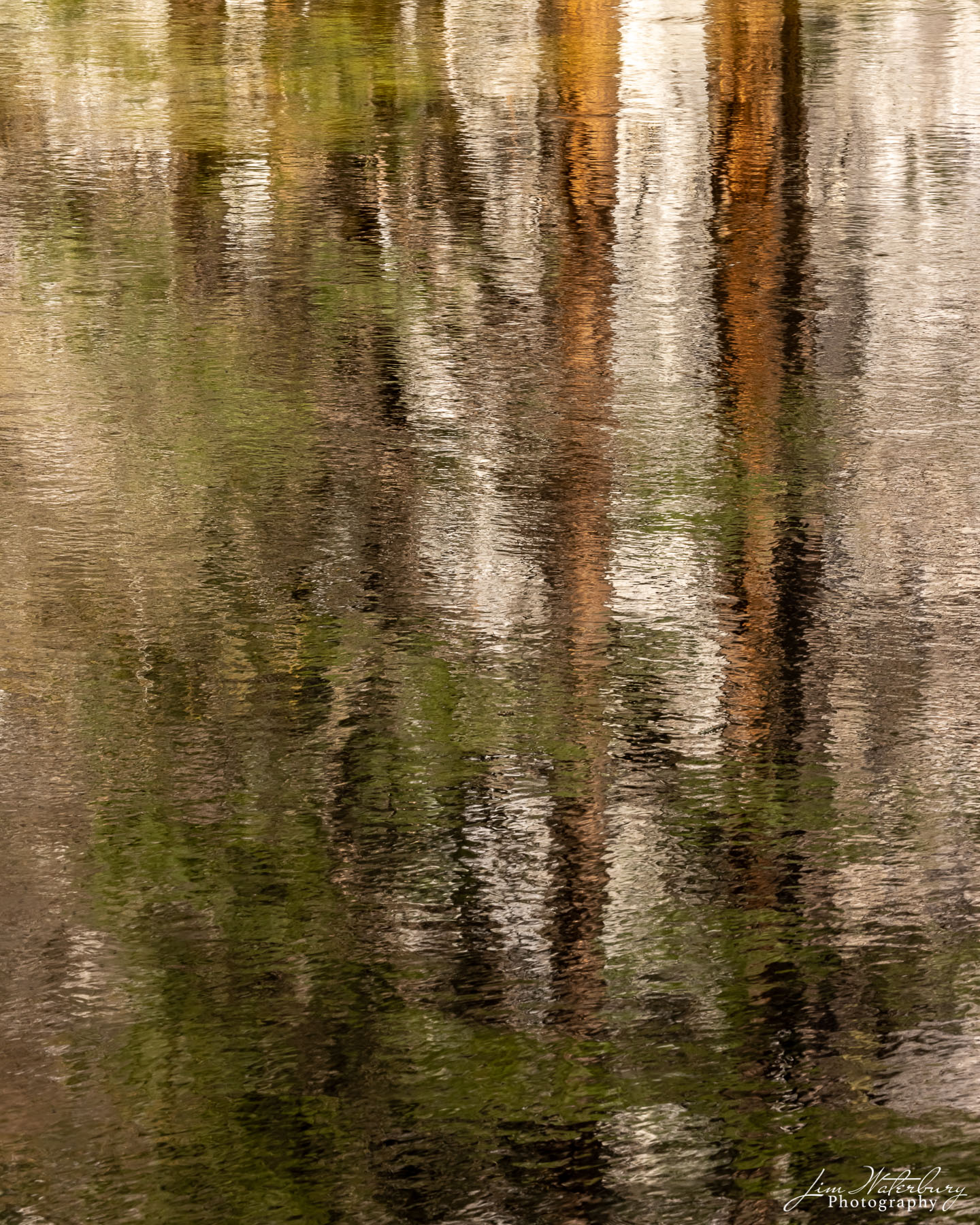 Reflections of trees in the Merced River.