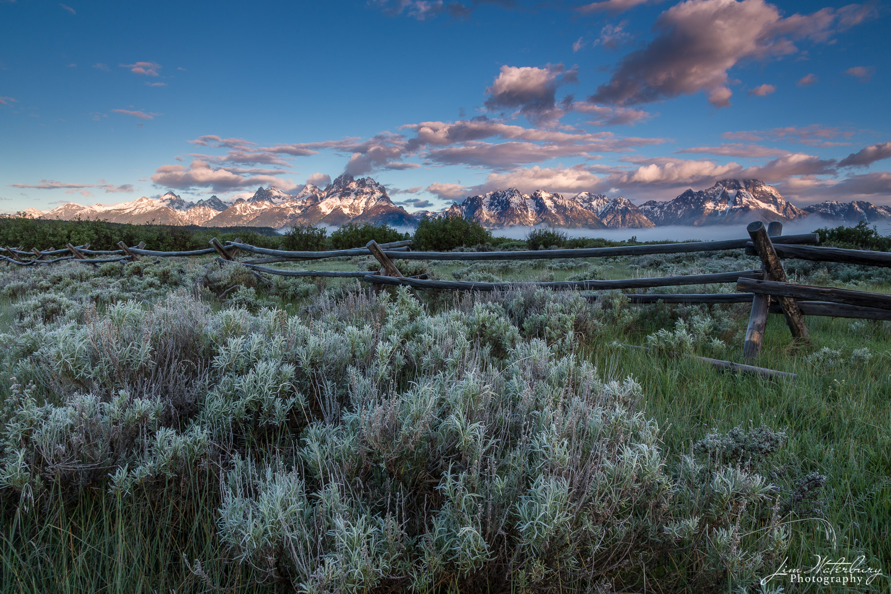 Frosty Sage Sage brush, fence, and view of the Teton Range in the distance, at sunrise, Teton National Park, opposite the Triangle X Ranch...